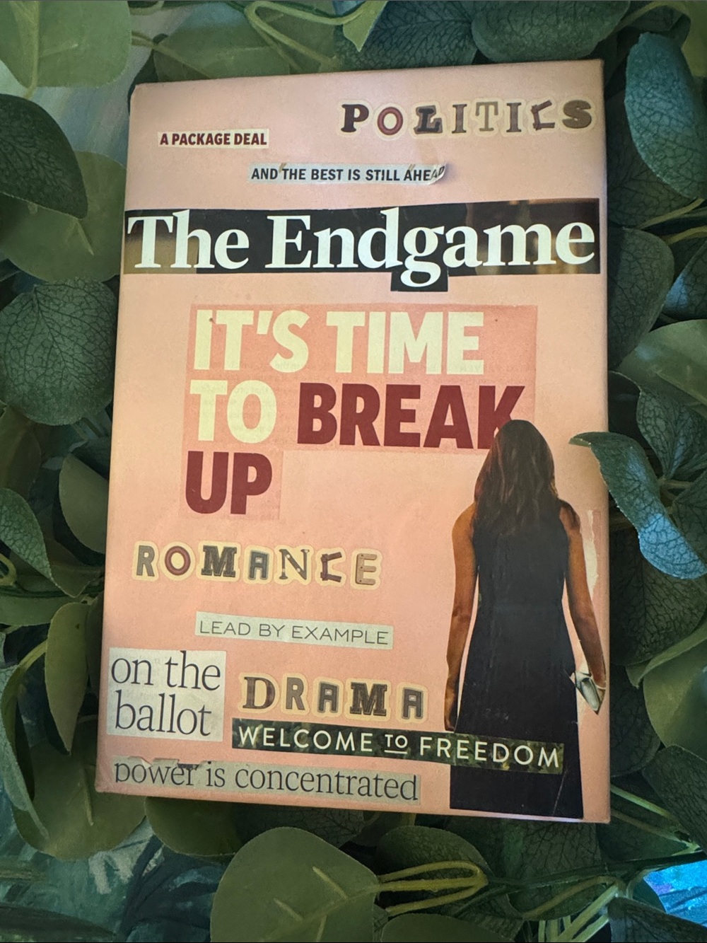 Blind Date with a Book: Politics, Romance, and Drama